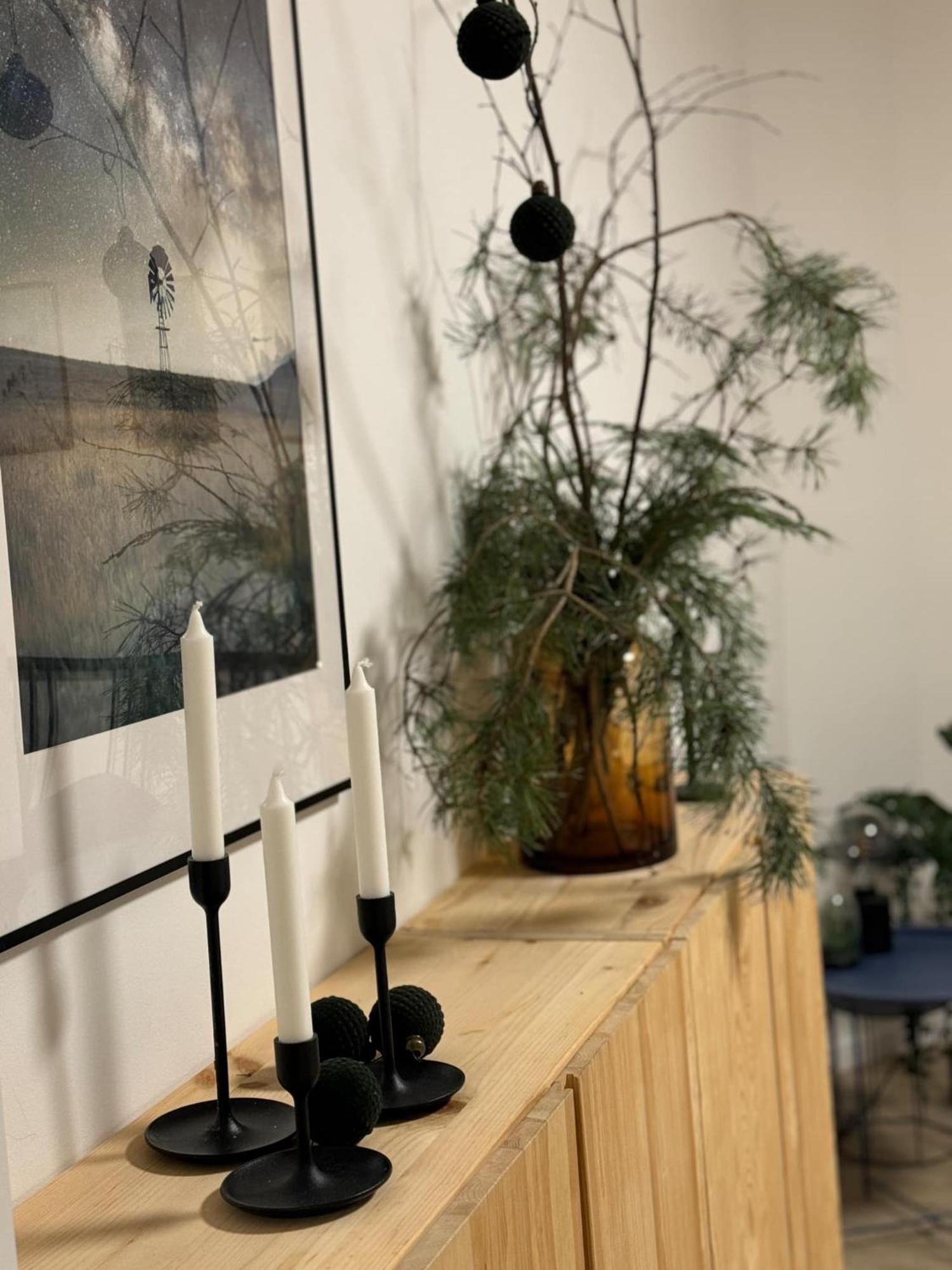 Apartmany Elli Mýto pod Ďumbierom Bagian luar foto